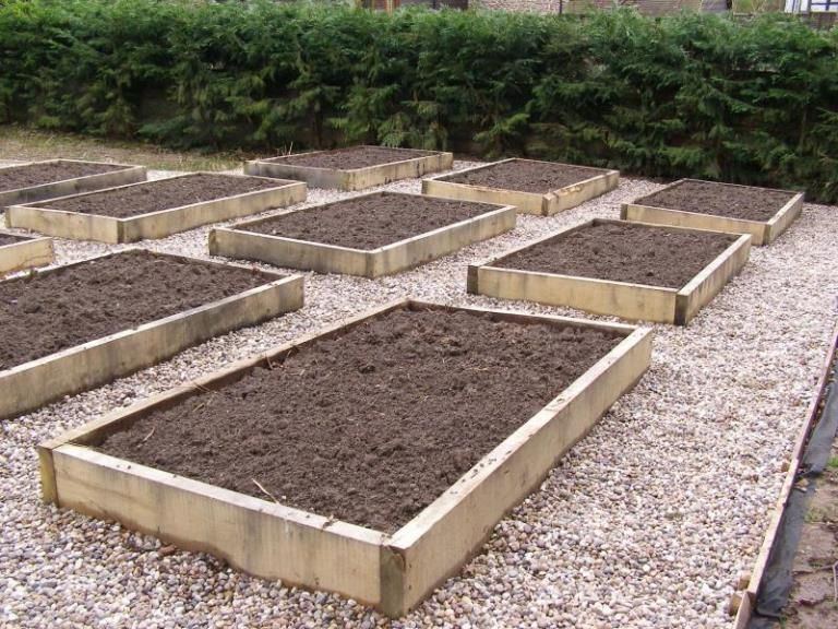 Professional Guide to Building Raised Garden Beds | ArticleCube